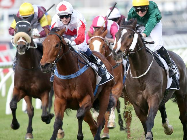 Touchdown: Benzini (right) winning last year’s Brisbane Cup. Picture: Jono Searle