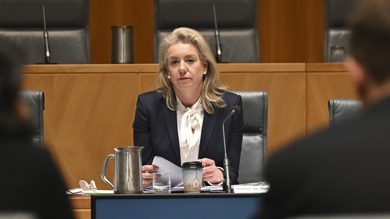 Speaking on Sky News on Sunday, Senator Bridget McKenzie renewed her threat against former Qantas boss Alan Joyce. Picture: NCA NewsWire / Martin Ollman