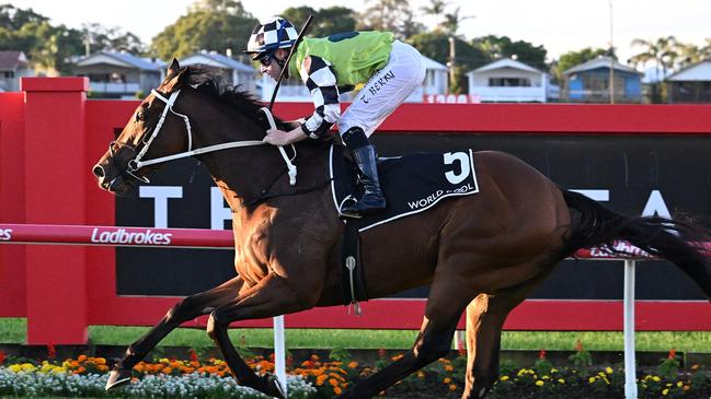 Imperialist wins the Rough Habit Plate at Doomben at big odds for Chris Waller. Picture: Grant Peters/Trackside Photography