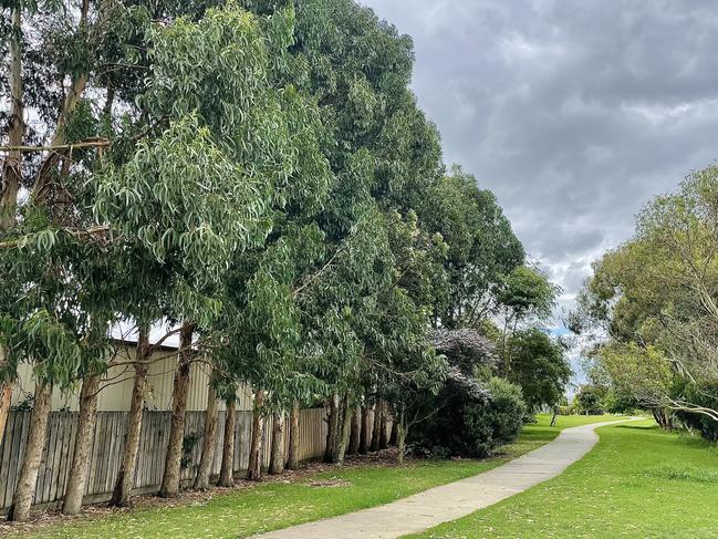 The proposed site near 150 Whites Rd Warrnambool where 22 gum trees may be removed if approved by Warrnambool City Council. Picture: Jack Colantuono