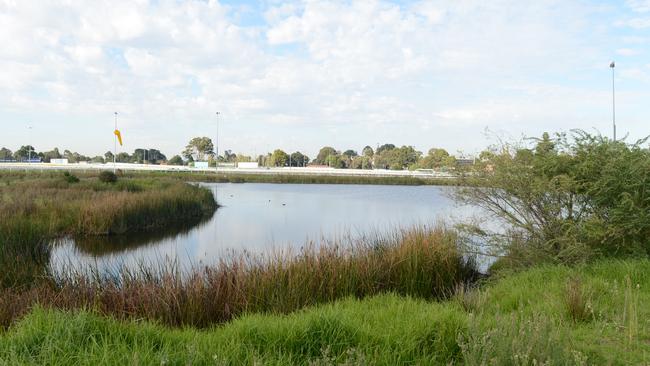 Caulfield residents angered by proposed entertainment venue at racecourse  reserve