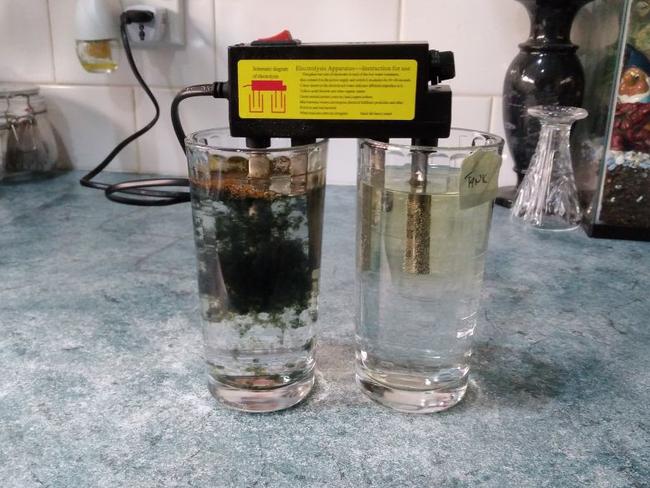 The results of Dubbo tap water and tank water tested using a water quality unit.