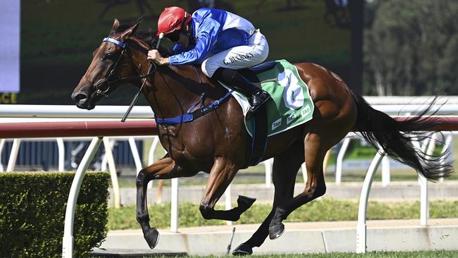 Jamakin Money scoring at Wyong last year Picture: Bradley Photos