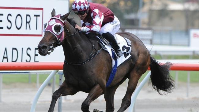 Damian Browne guides Tinto to victory in the Magic Millions Stayers Cup. Picture: Grant Peters, Trackside Photography