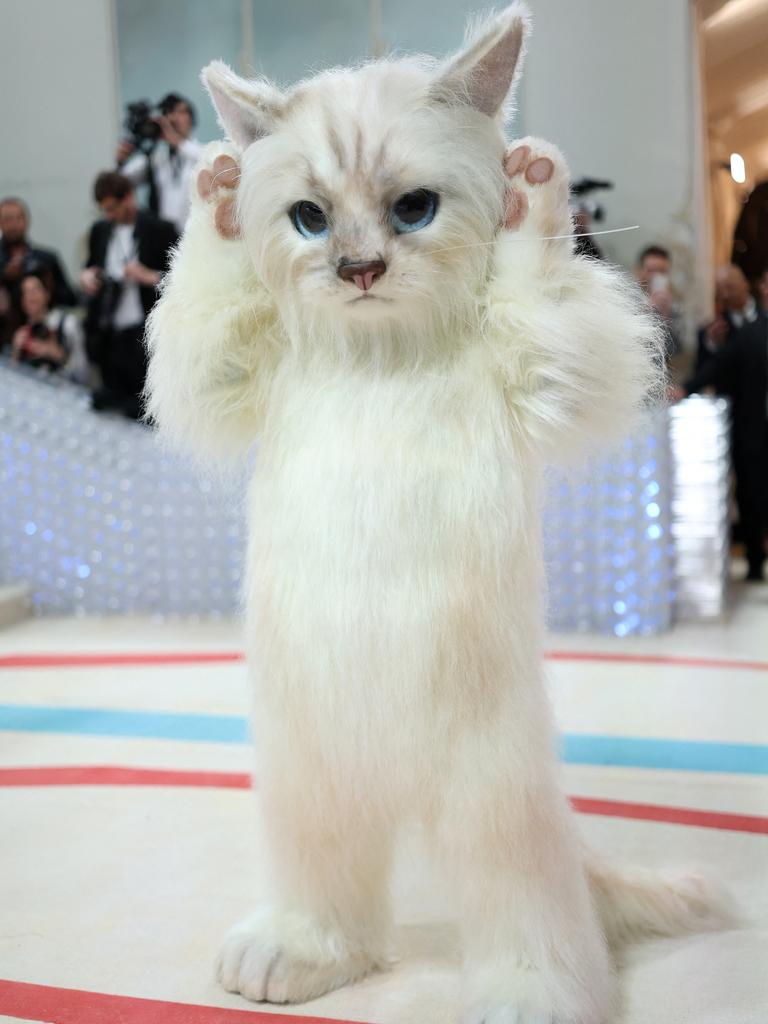 A human-sized Choupette arrived at the Met Gala. Picture: Mike Coppola/Getty Images/AFP.