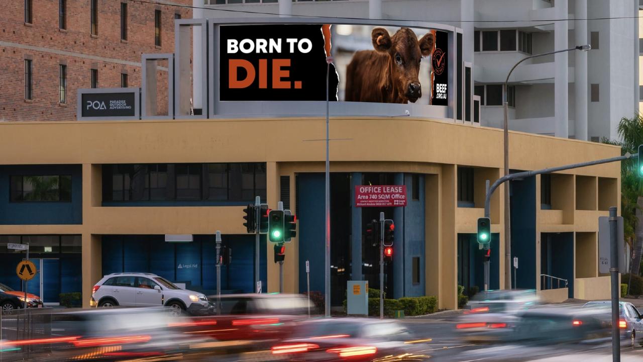 Animal Liberation Queensland target Beef Australia using billboards
