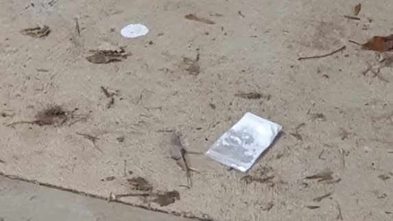 Elizabeth Grove Soccer Club on Friday night, noticed a bag of white powder on the ground and residue on a countertop under the club’s veranda. Picture: Supplied