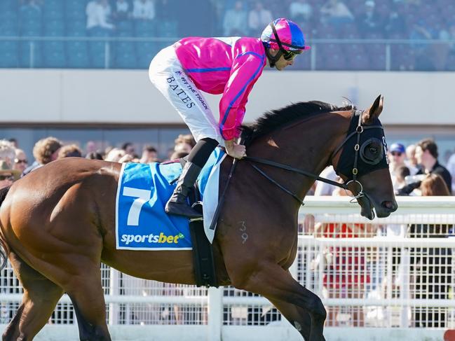 Recommendation on the way to the barriers prior to the running of  the Sportsbet Oakleigh Plate at Caulfield Racecourse on February 24, 2024 in Caulfield, Australia. (Photo by Scott Barbour/Racing Photos via Getty Images)