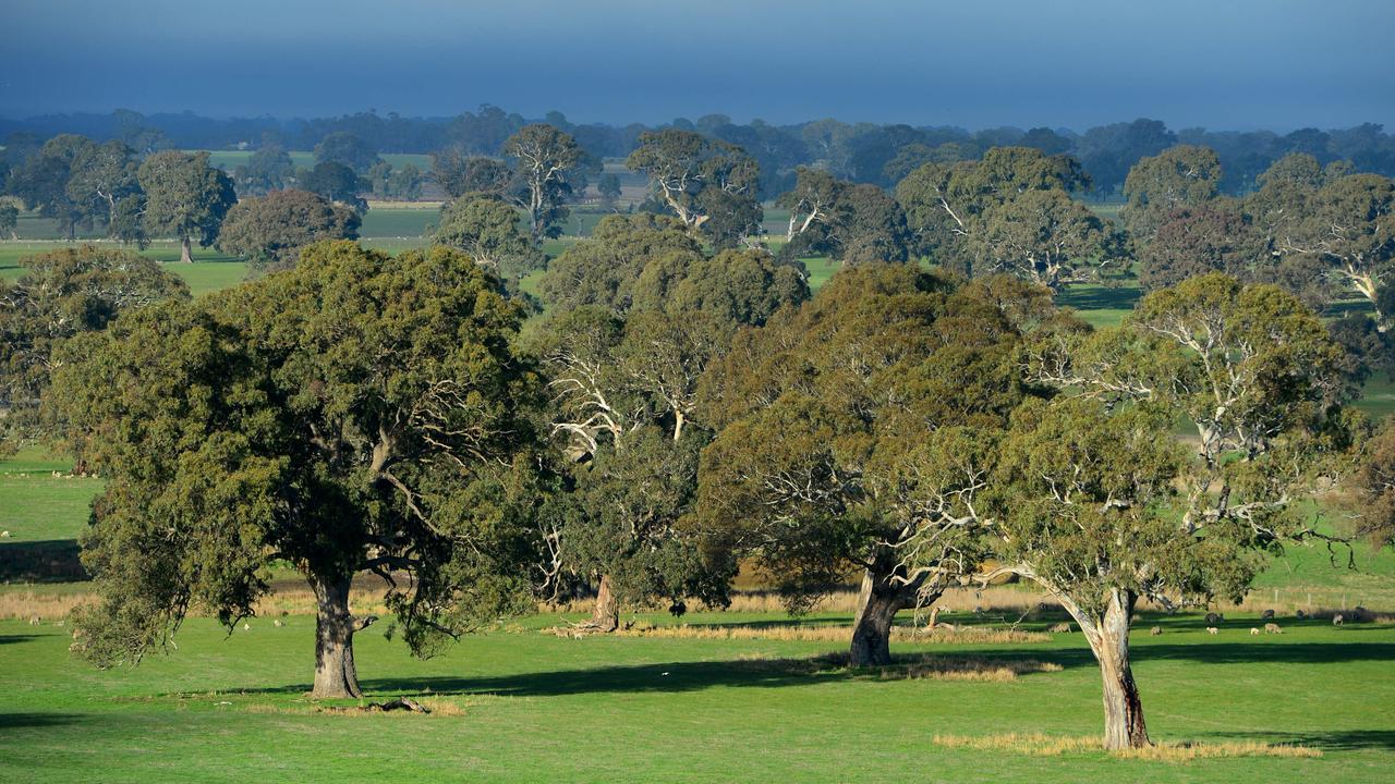 Municipality guide: How much could your farm be worth?