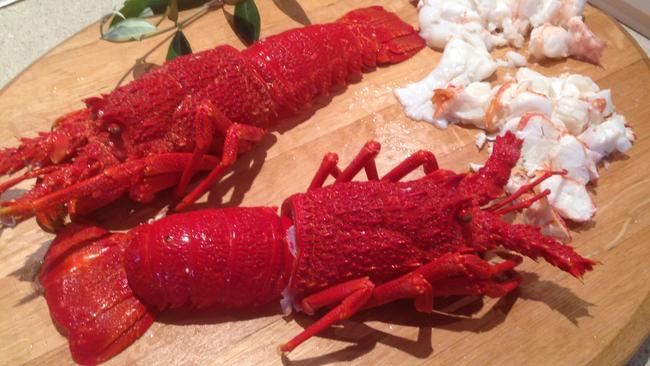 SA lobster is normally an expensive but popular delicacy in China.