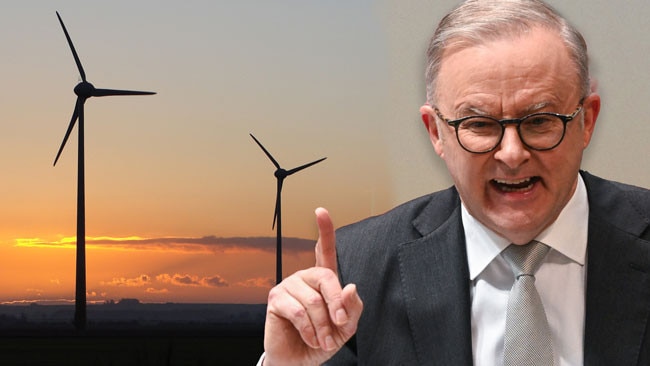 Anthony Albanese art for Future Energy