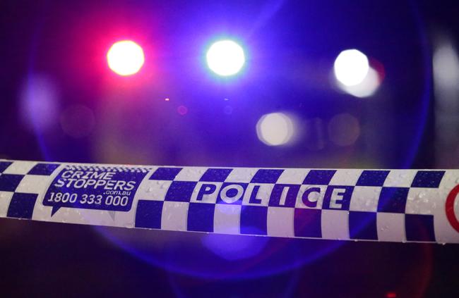 A man has been arrested in a backyard after a manhunt in Mt Annan last night.