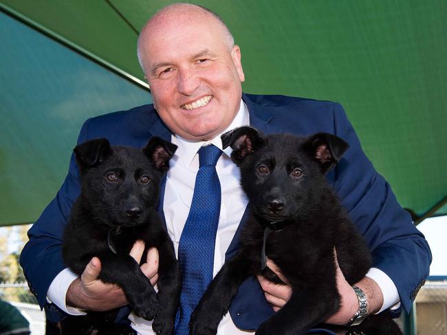 The new slimline David Elliott with some police puppies last week. Picture: Bianca De Marchi/NCA NewsWire