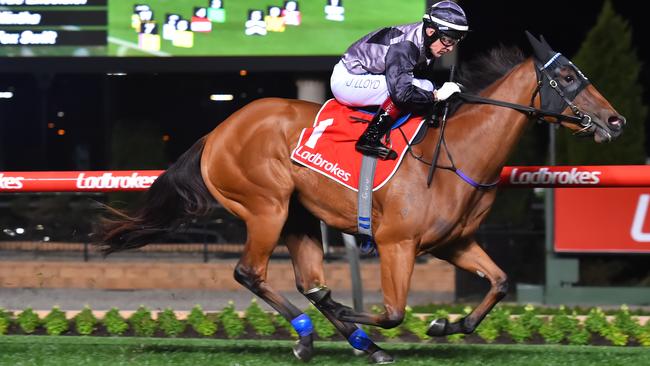 Houtzen, ridden by Jeff Lloyd, scores an all-the-way win at Moonee Valley on September 29, 2017. Photo: Vince Caligiuri/Getty Images