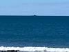 Revealed: Why submarine was off the Bundaberg coast