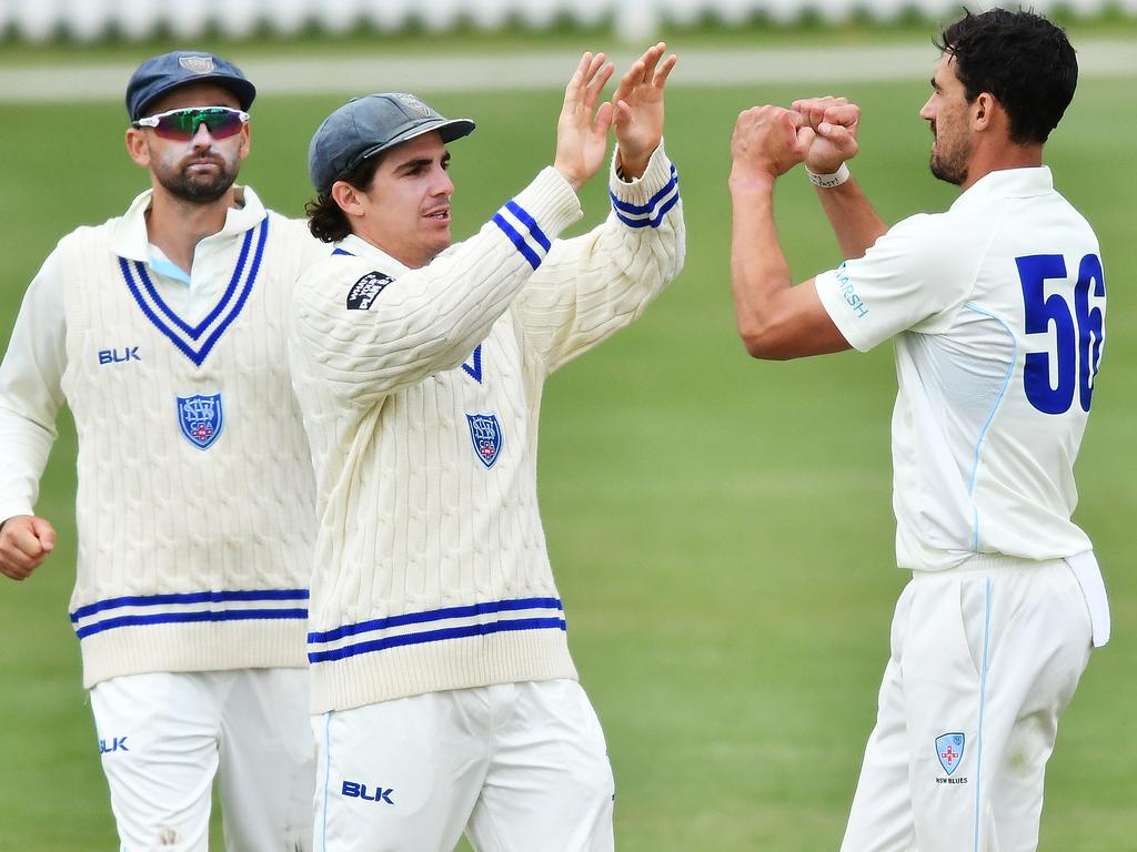 Mitchell Starc of the Blues celebrates the wicket of Matthew Renshaw.