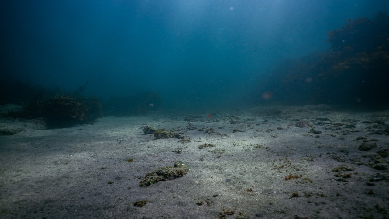 Underwater EV breaks world record in Darwin