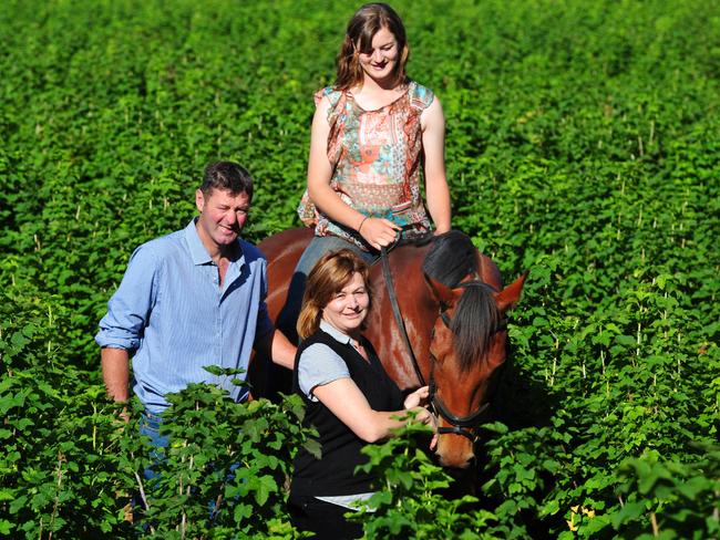 Jacoba, Mark and Ella Tromp grow redcurrants at Parkview Farm.