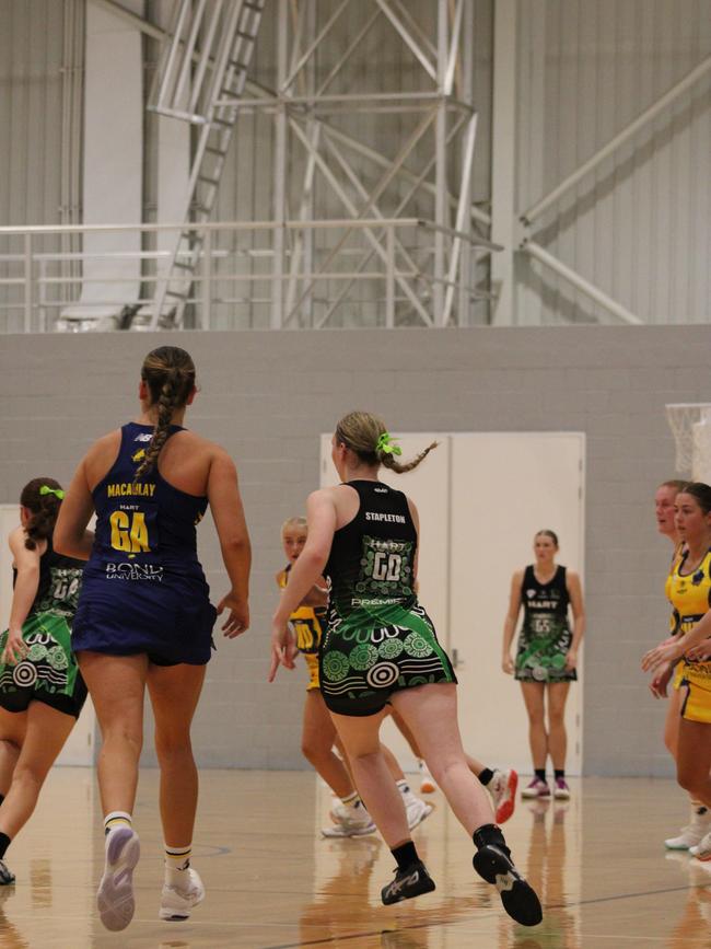 HART Sapphire Series round 1 2024 (Ruby) Darling Downs Panthers v Bond University Bull Sharks Netball