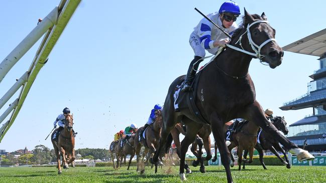 Shaquero wins The Breeders' Plate at Randwick. Picture: Steve Hart Photographics