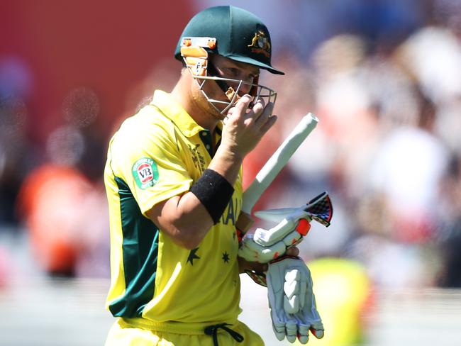 David Warner departs after being trapped lbw by Tim Southee. Picture: Phil Hillyard.