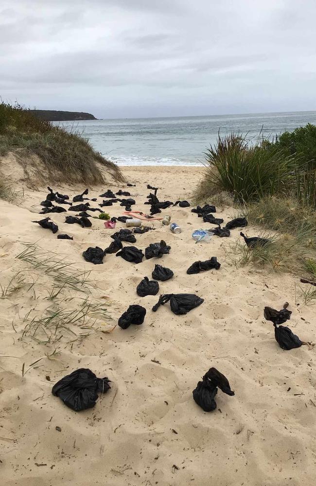 These poo bags were collected from the sand dunes in one day. Picture: Bega Valley Shire Council Facebook