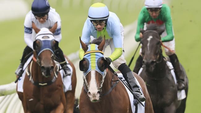 Pandano is ready to peak third-up in the final event on his home track on Saturday. Picture: Getty Images