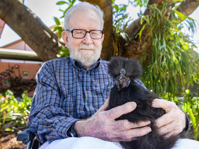 Roy Mason poses for a photograph with silky bantam at St Marks Aged Care, Chermside, Wednesday, December 14, 2019 (AAP Image/Richard Walker)