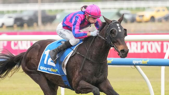 Jabbawockeez, ridden by Blake Shinn, wins at Caulfield on Saturday. Picture: Scott Barbour / Racing Photos