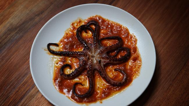 Highlight dish: octopus ndjuda with a fiery Calabrian sausage sauce.