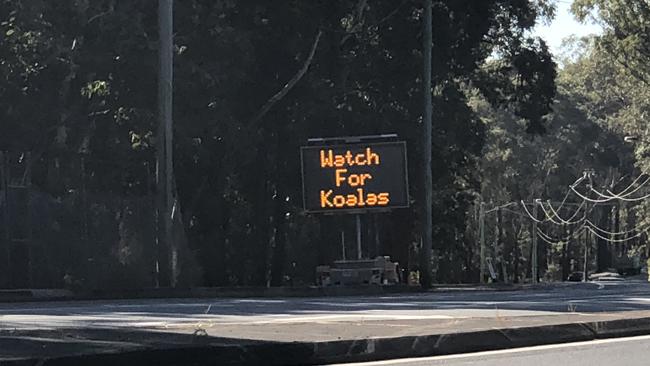 Watch out for koala sign on Captain Cook Drive, Arundel