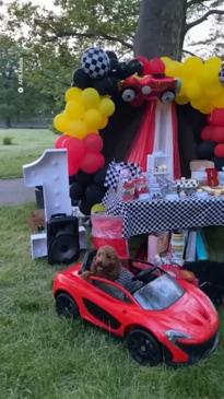 Dog owner spares no expense for viral birthday bash!