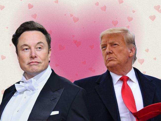 Musk has dreams and Trump represents a way of achieving them.