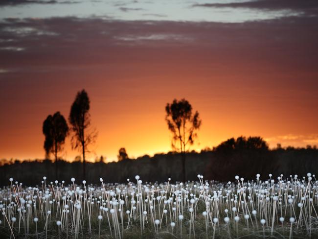 Visitors have the option to see the Field of Light via helicopter or camel tour. Picture: Mark Pickthall