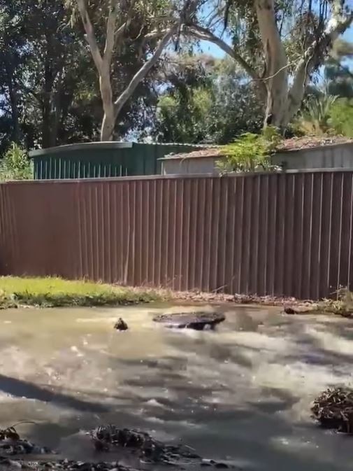 Sewer water has leaked onto a popular walking track in Modbury North. Picture: Facebook (Ngarie Kelly)