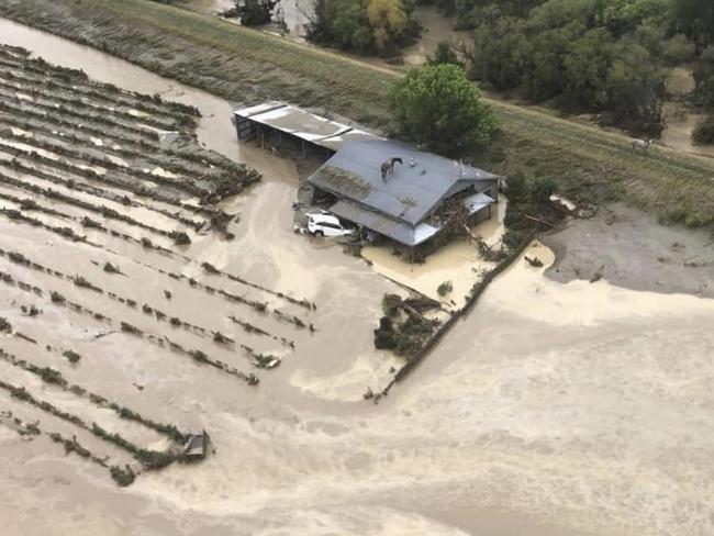 Aerial images show a horse trapped on a roof after flooding in Hawke's Bay. Supplied