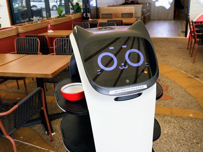 New dumpling restaurant embracing robot revolution