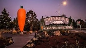 Researchers were given $360,000 to study the white-privilege narrative around the statue of a carrot in Ohakune.