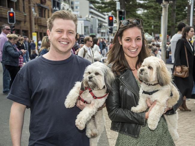 Ryan McCourt and Aimee McElroy with dogs Beau and Bear at the 2019 Manly Jazz festival. (AAP IMAGE / Troy Snook)