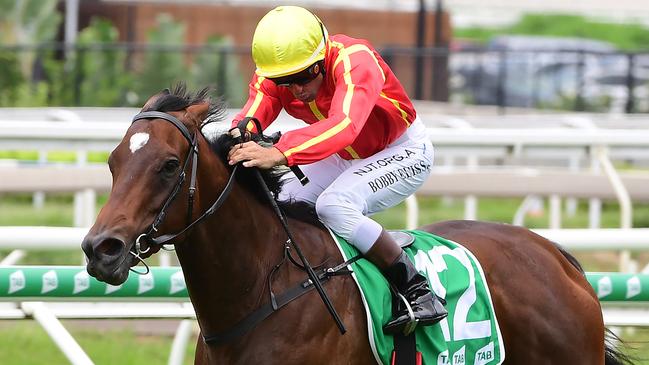 Bobby El-Issa rode Snow Valley to victory in the opener at Eagle Farm. Picture: Trackside Photography