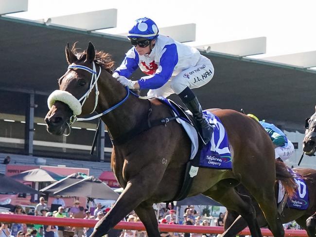 Pounding ridden by Jamie Kah wins the The Big Screen Company T.S. Carlyon Cup at Ladbrokes Park Hillside Racecourse on February 11, 2023 in Springvale, Australia. (Photo by Scott Barbour/Racing Photos via Getty Images)