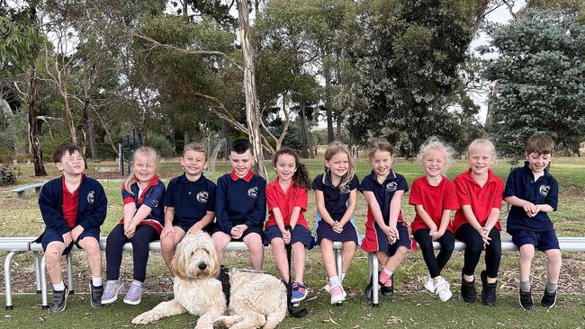 Anakie Primary School preps Danny Hruska, Madelyn Patman, Jaxon Brown, Nate Stewart, Adela Kreltszheim, Savannah Vasils, Maddison Court, Zara Piera, Zara Kenyon. , Alex Giacometti and Foxy the Wellbeing Dog. Photo: Supplied