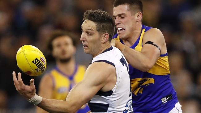 MELBOURNE, AUSTRALIA - SEPTEMBER 13: Harry Taylor of the Cats and Jake Waterman of the Eagles compete for the ball during the 2019 AFL First Semi Final match between the Geelong Cats and the West Coast Eagles at the Melbourne Cricket Ground on September 13, 2019 in Melbourne, Australia. (Photo by Dylan Burns/AFL Photos via Getty Images)