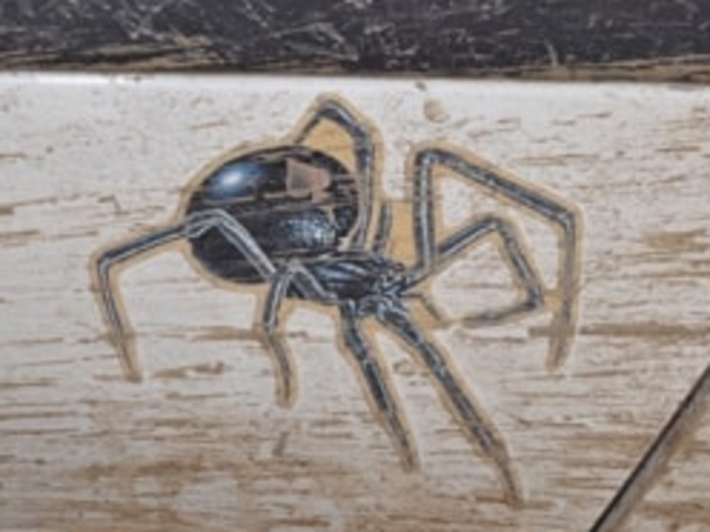Terrence’s vehicle had a distinctive spider sticker on its back-right door. Picture: Supplied