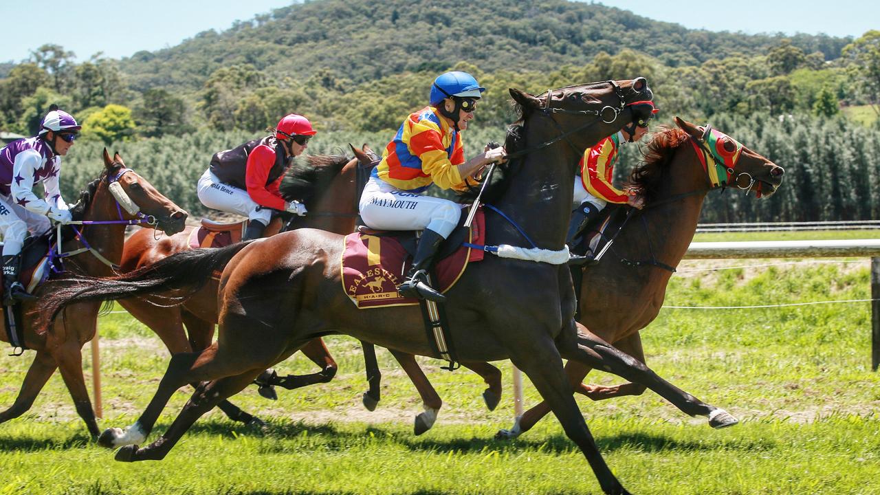 Healesville picnic races on Saturday.