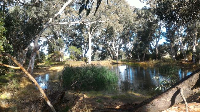 The State Government wants to include Glenthorne Farm in plans for a new national park. Pictures: Michelle Etheridge