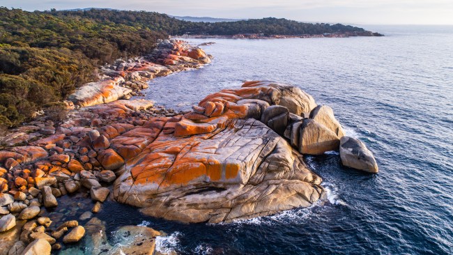 The New York Times has listed Tasmania as one of the 52 best places to visit in the world.