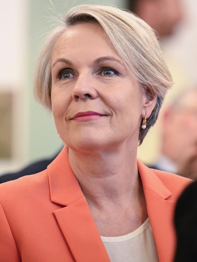 Tanya Plibersek. Picture: Martin Ollman/NewsWire