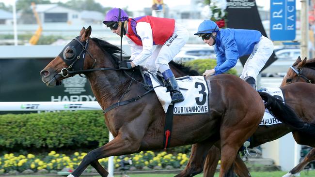 Lee Freedman says Our Ivanhowe is going better than last year, when he finished 10th in the Melbourne Cup. Picture: Mark Cranitch.