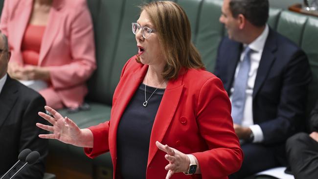 Alongside Joyce, Transport Minister Catherine King has been called upon to appear before the Senate inquiry. Picture: NCA NewsWire / Martin Ollman